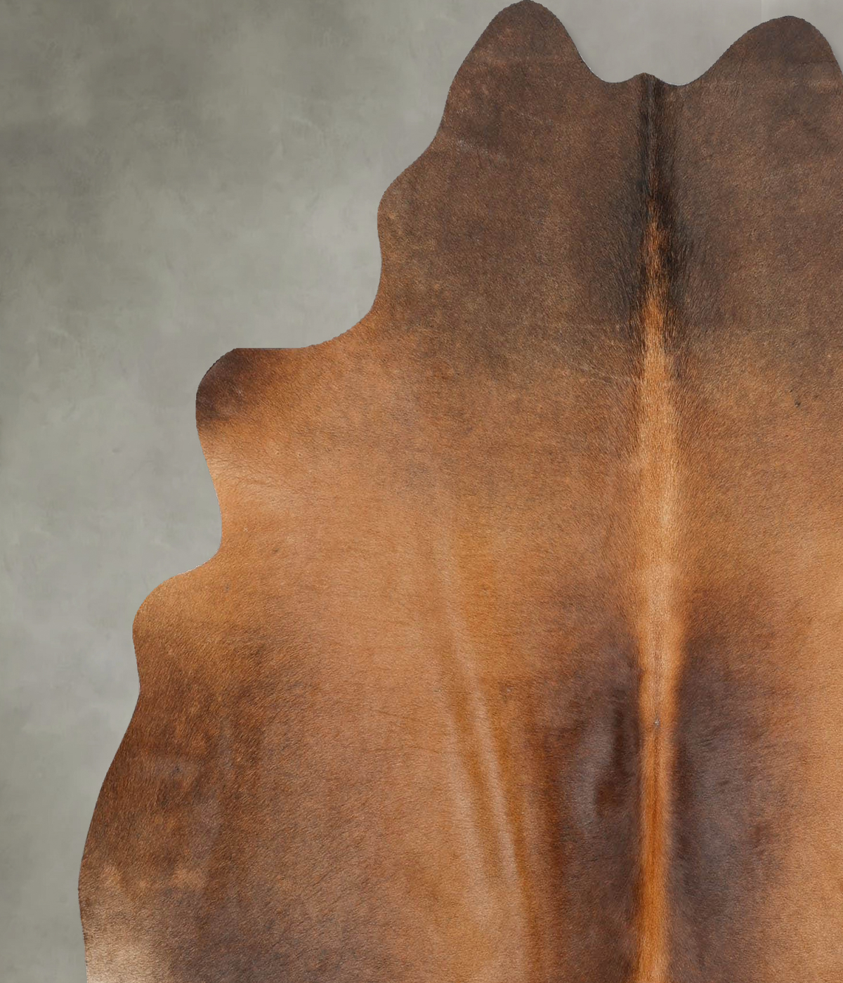 Warm Caramel Large Brazilian Cowhide Rug 6'1"H x 5'8"W #B29956 by Hudson Hides