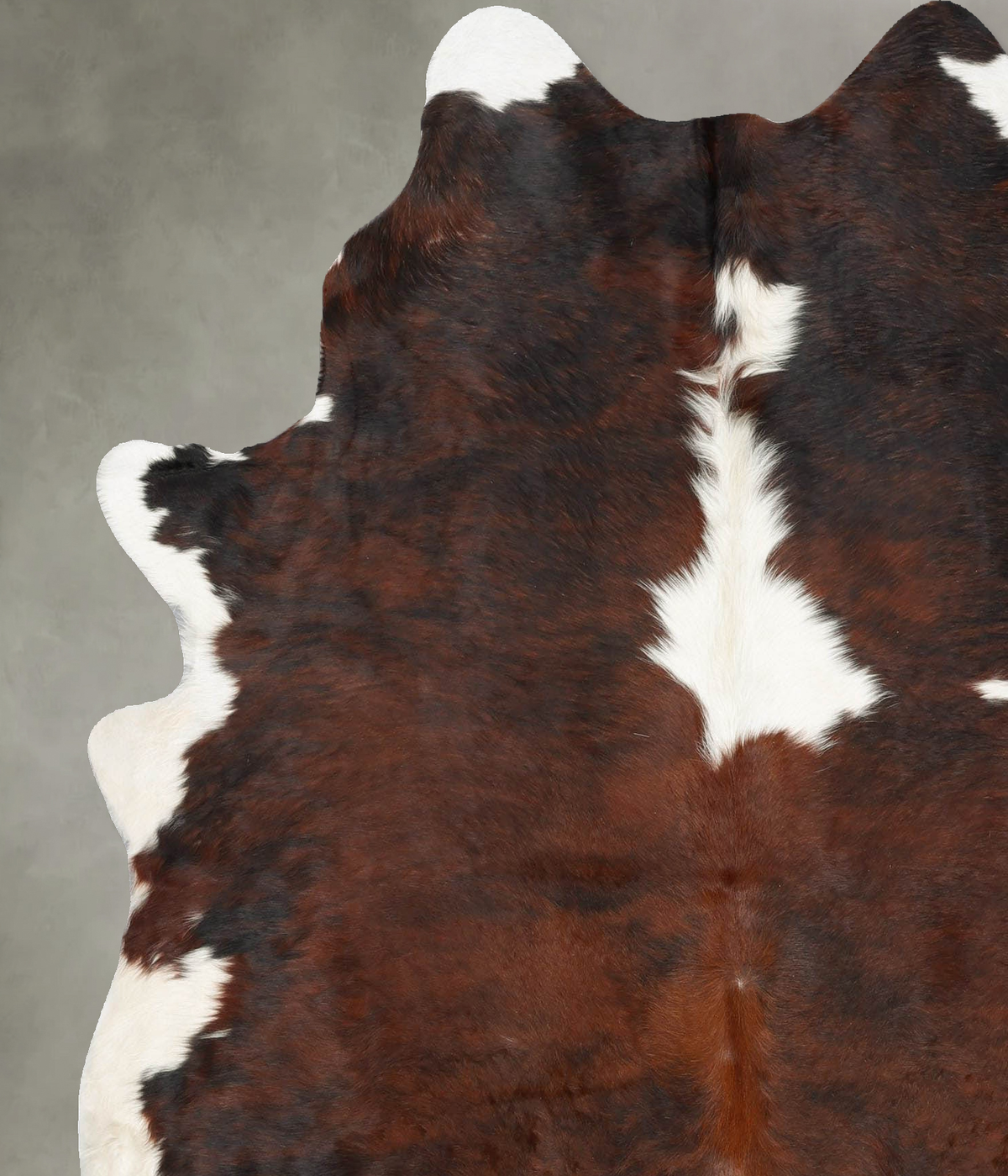 Tricolor X-Large Brazilian Cowhide Rug 7'0"H x 5'9"W #B29958 by Hudson Hides