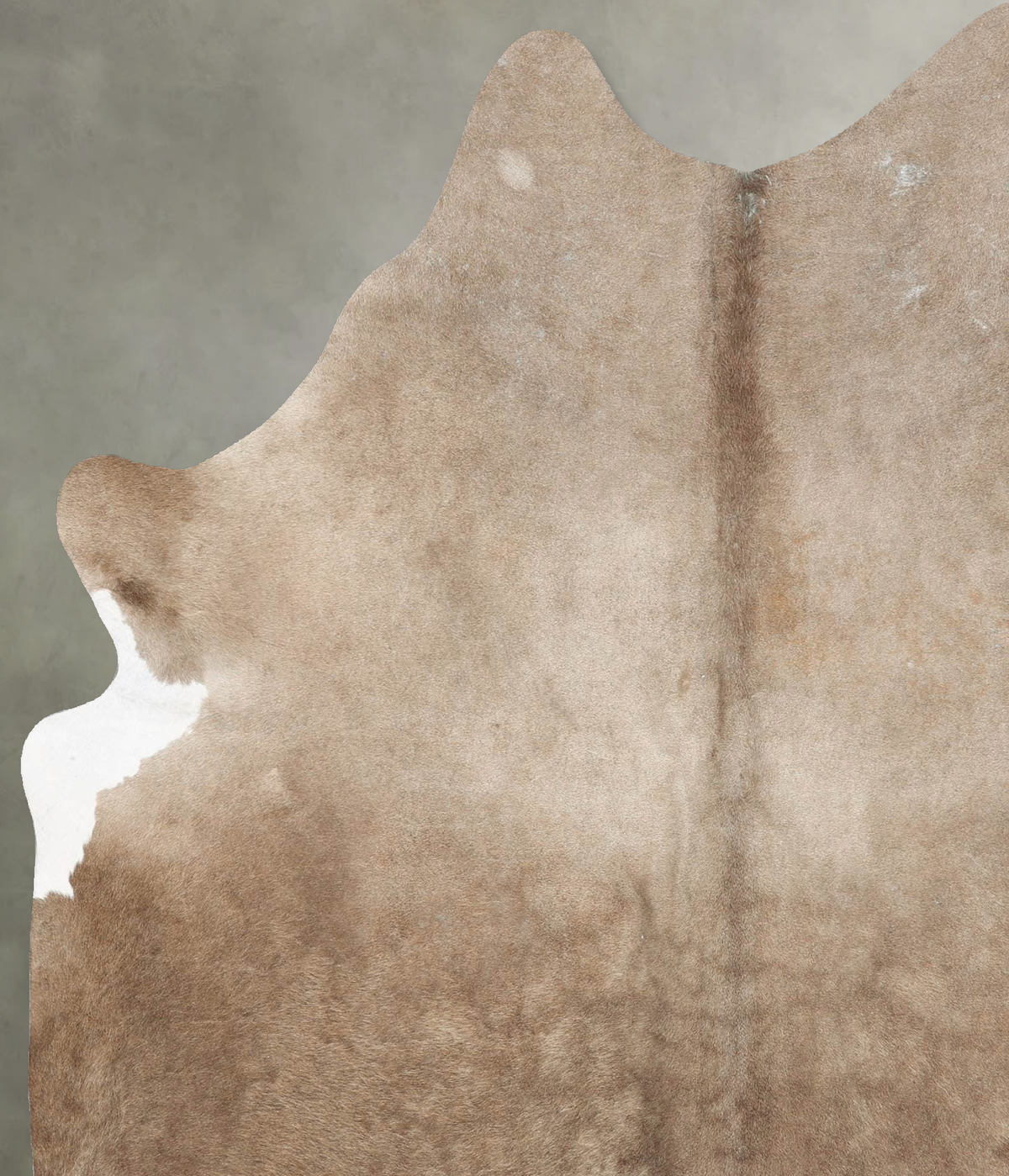 Taupe X-Large Brazilian Cowhide Rug 7'0"H x 6'1"W #B29959 by Hudson Hides