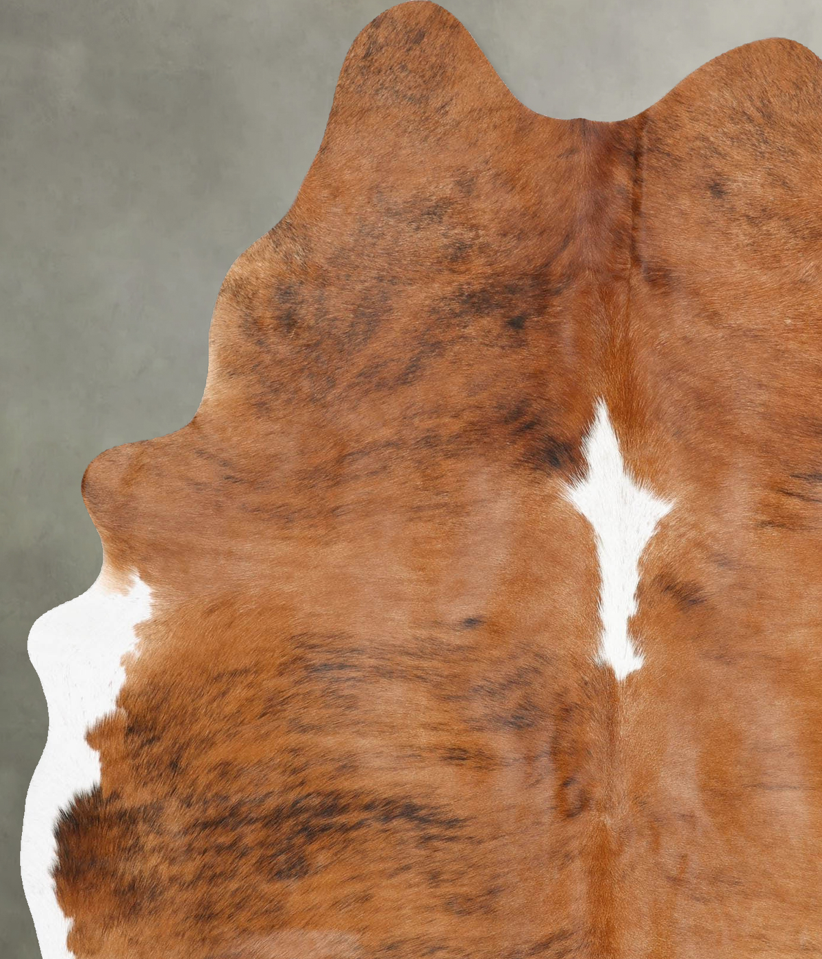 Tricolor Large Brazilian Cowhide Rug 7'2"H x 5'5"W #B29961 by Hudson Hides