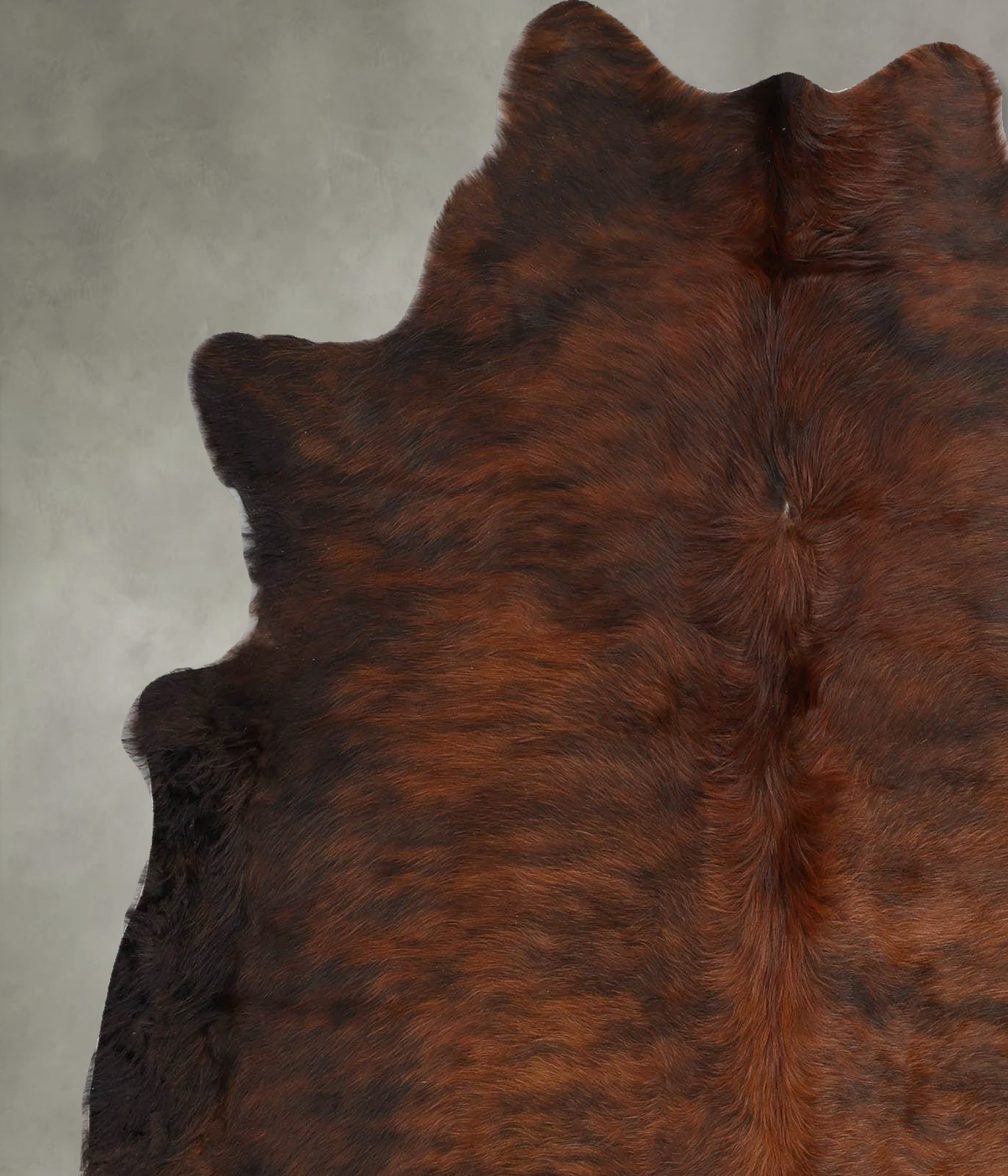 Dark Brindle Large Brazilian Cowhide Rug 6'2"H x 5'5"W #B29971 by Hudson Hides