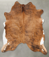 Medium Brindle X-Large Brazilian Cowhide Rug 6'8"H x 6'5"W #B29974 by Hudson Hides