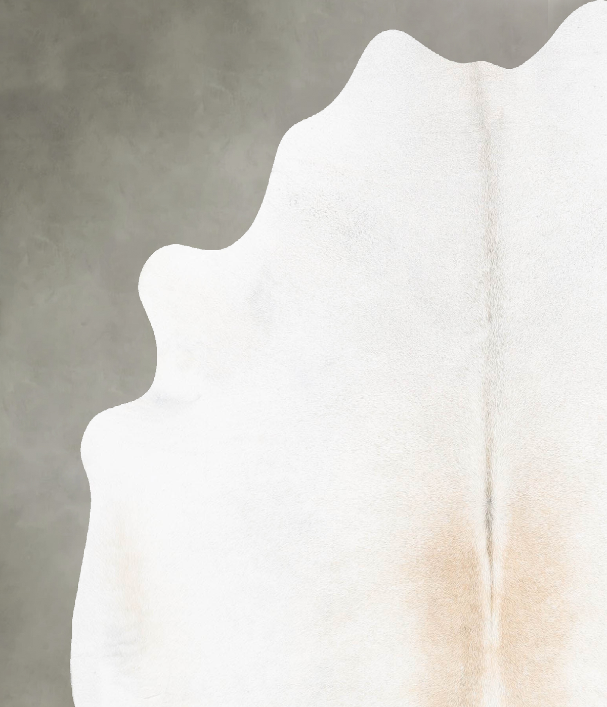 Ivory with Beige X-Large Brazilian Cowhide Rug 7'3"H x 6'0"W #B29977 by Hudson Hides