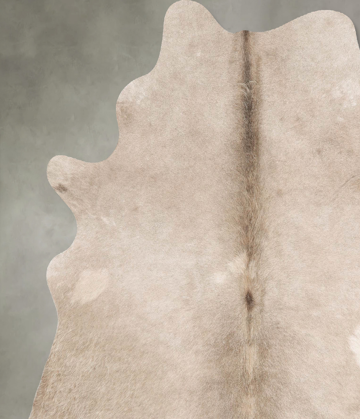 Champagne Large Brazilian Cowhide Rug 6'8"H x 6'0"W #B29979 by Hudson Hides