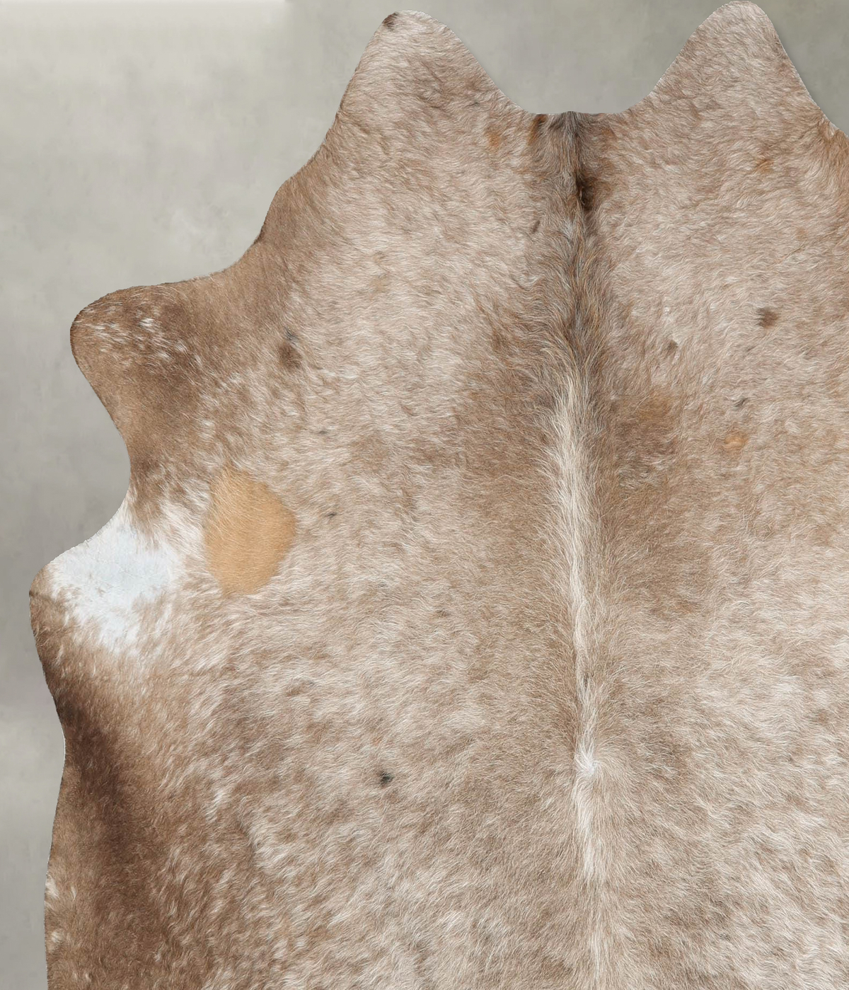 Taupe X-Large Brazilian Cowhide Rug 6'6"H x 6'2"W #B29982 by Hudson Hides