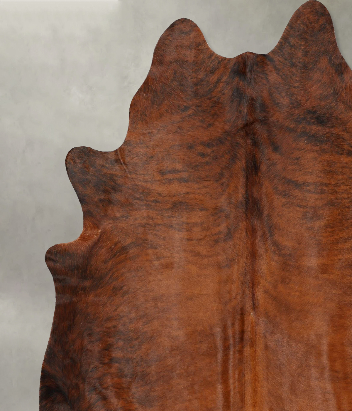 Medium Brindle X-Large Brazilian Cowhide Rug 7'1"H x 6'5"W #B29983 by Hudson Hides