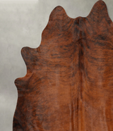 Medium Brindle X-Large Brazilian Cowhide Rug 7'1"H x 6'5"W #B29983 by Hudson Hides
