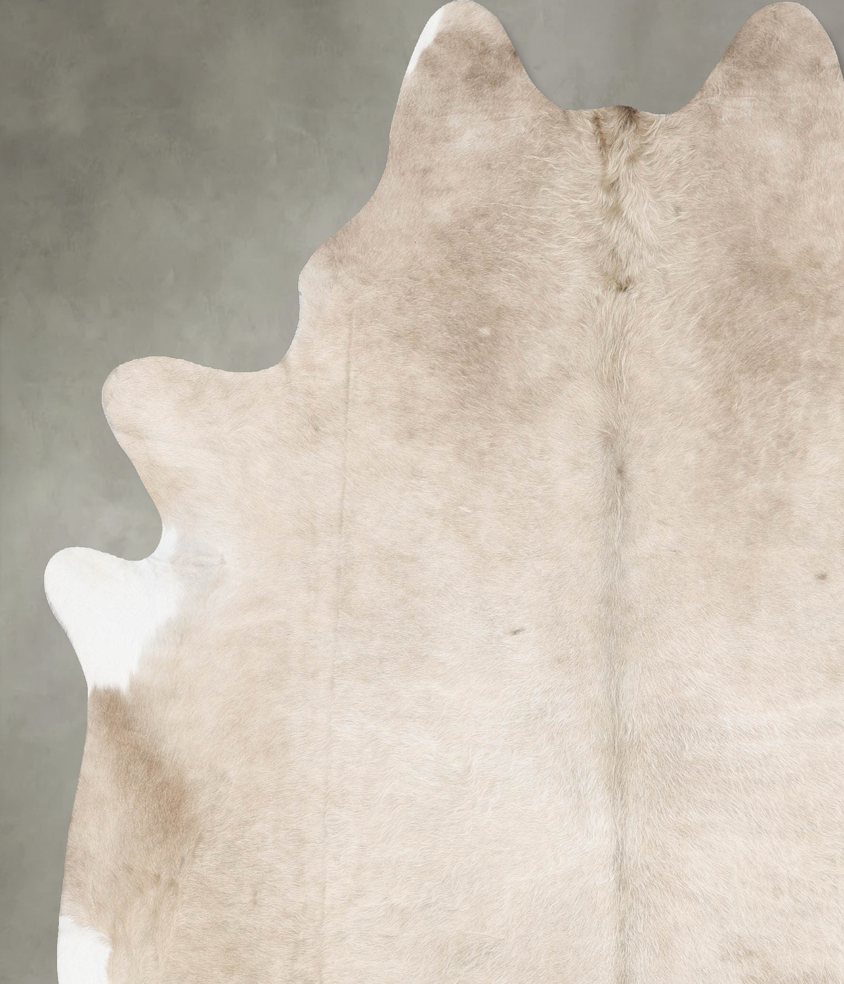 Champagne Cowhide Rug #B29991