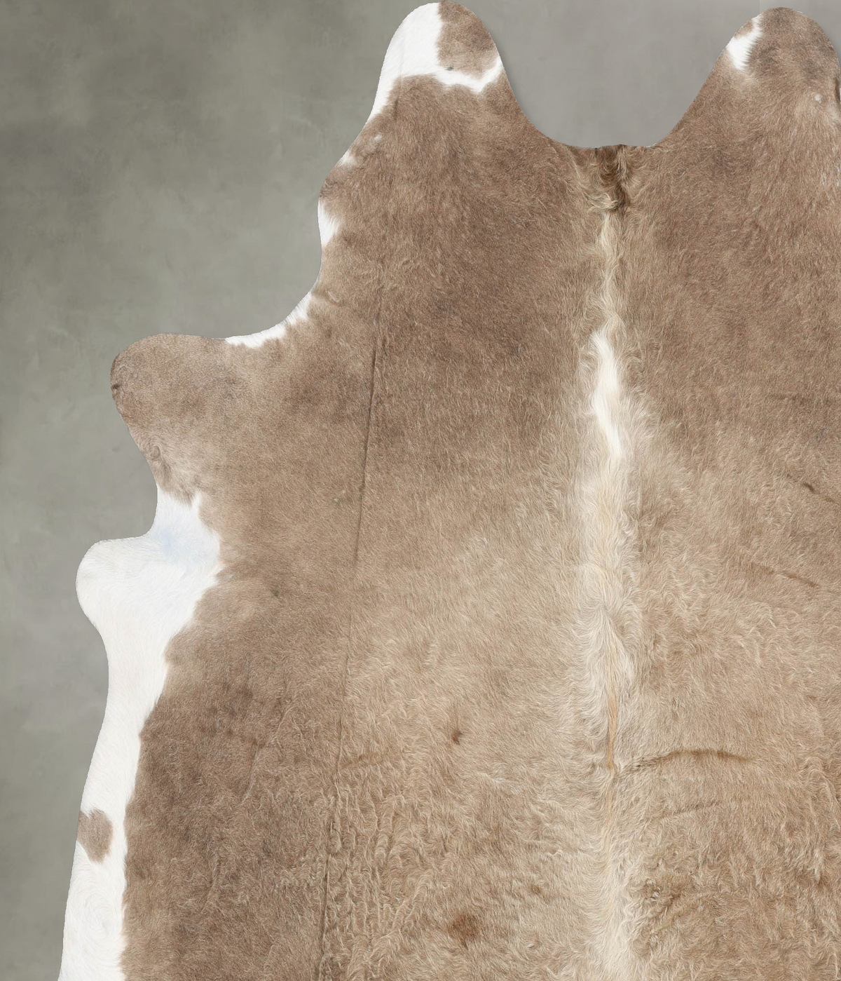 Taupe XX-Large Brazilian Cowhide Rug 7'10"H x 7'2"W #B29992 by Hudson Hides