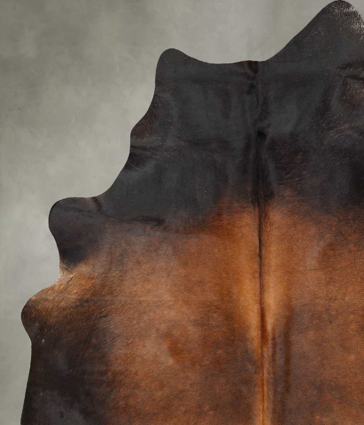 Warm Caramel X-Large Brazilian Cowhide Rug 7'10"H x 5'11"W #B29997 by Hudson Hides