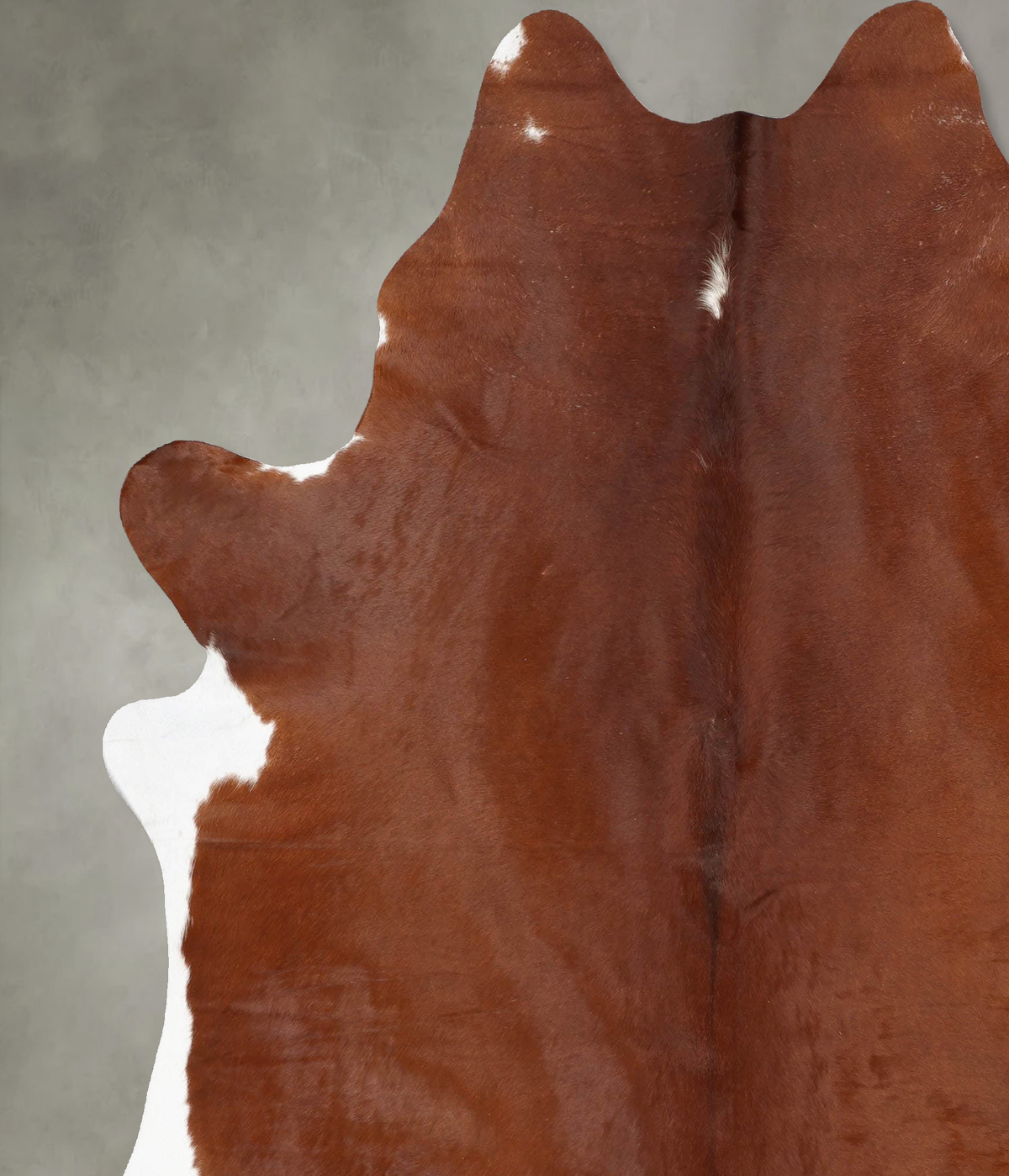 Brown and White Regular XX-Large Brazilian Cowhide Rug 8'1"H x 6'9"W #B29999 by Hudson Hides