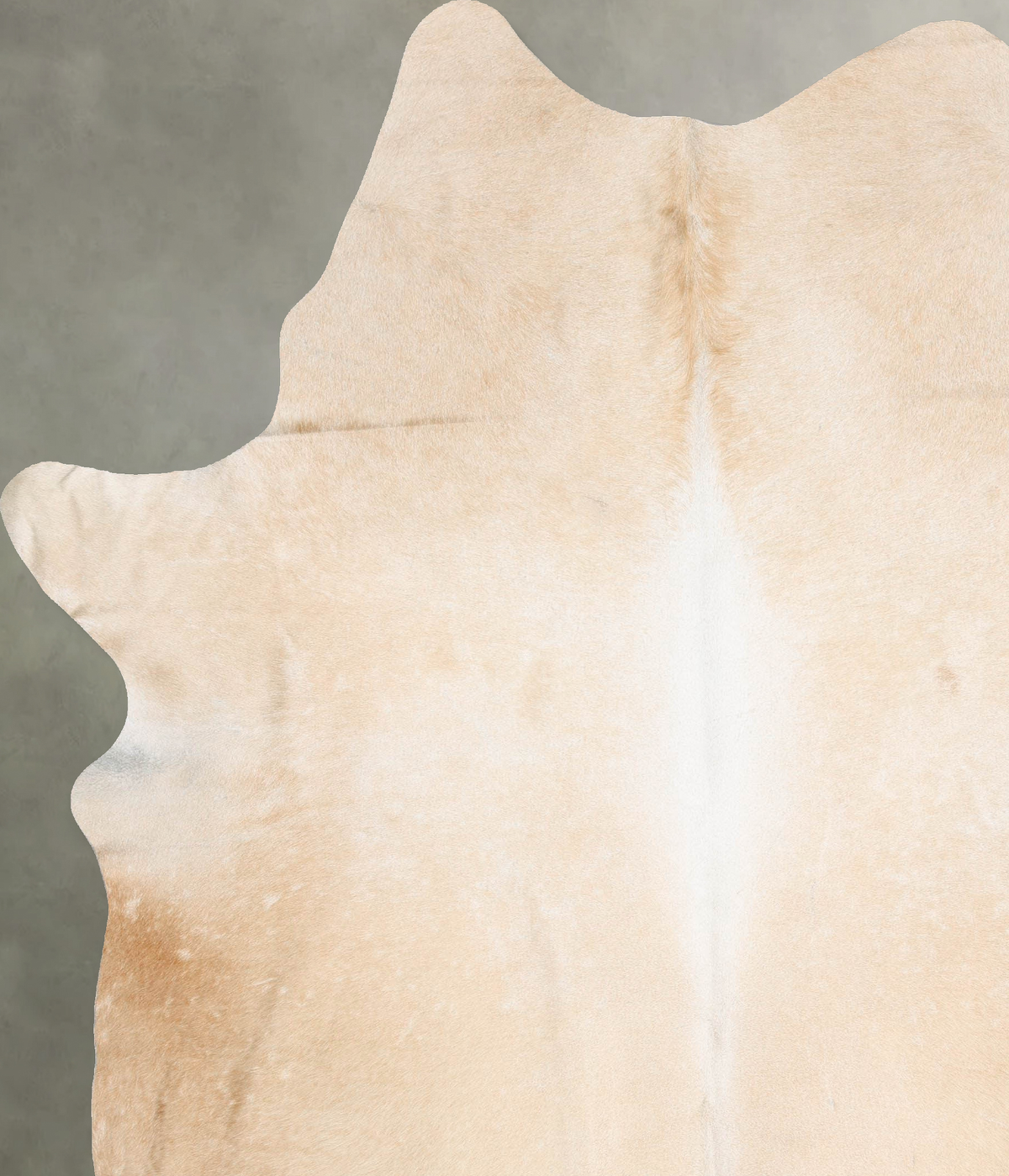 Palomino XX-Large Brazilian Cowhide Rug 8'11"H x 7'2"W #B30000 by Hudson Hides