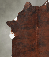 Medium Brindle XX-Large Brazilian Cowhide Rug 7'10"H x 6'10"W #B30002 by Hudson Hides