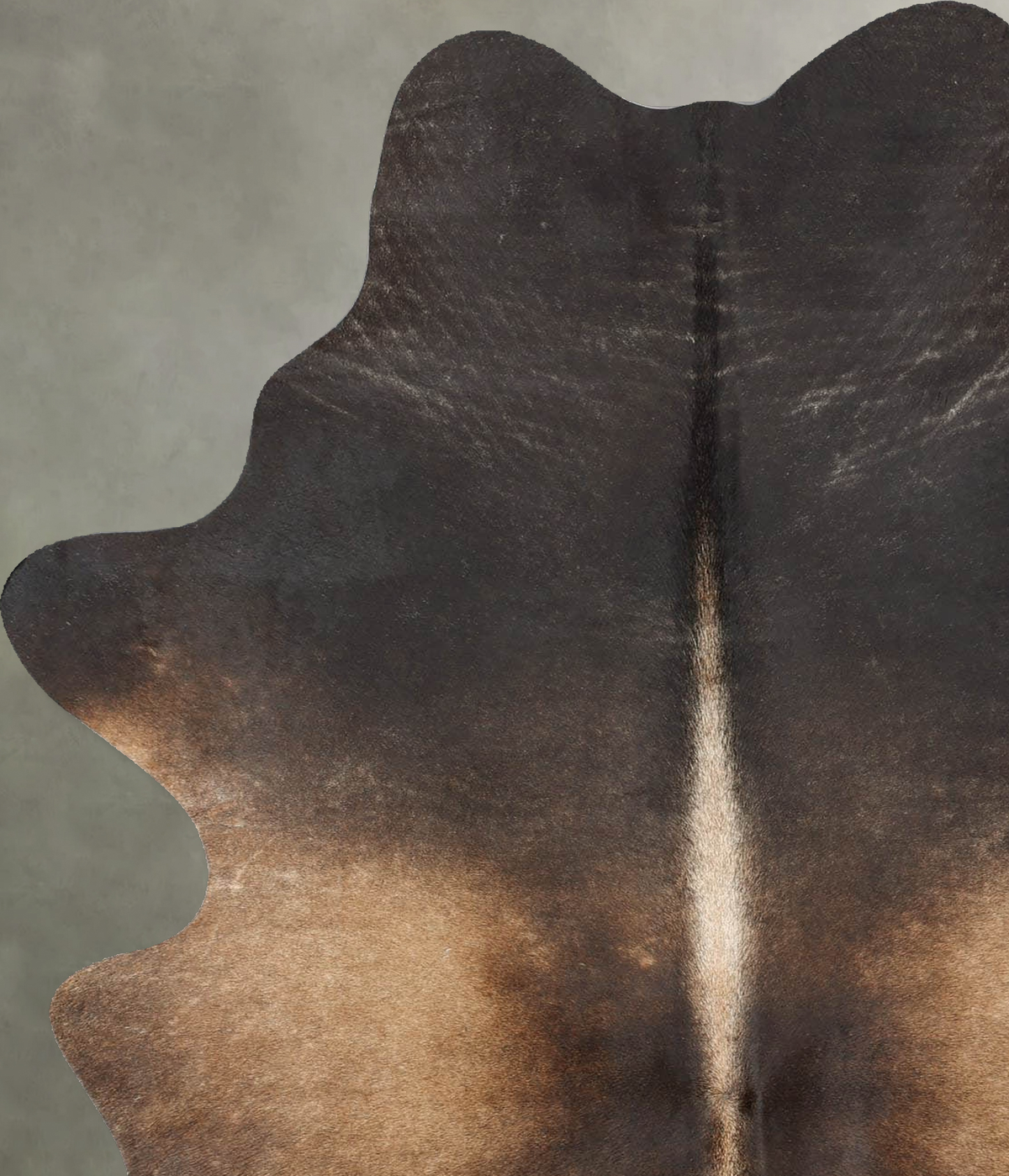 Chocolate Medium Brazilian Cowhide Rug 6'2"H x 4'4"W #B30013 by Hudson Hides