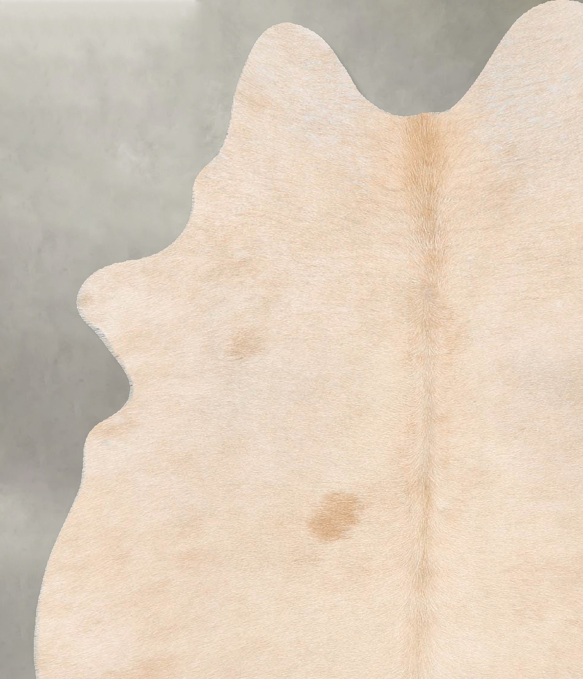 Palomino Medium Brazilian Cowhide Rug 5'3"H x 3'10"W #B30023 by Hudson Hides