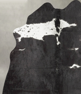 Black and White Medium Brazilian Cowhide Rug 5'4"H x 4'2"W #B30024 by Hudson Hides