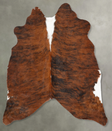 Medium Brindle Medium Brazilian Cowhide Rug 5'6"H x 5'6"W #B30030 by Hudson Hides