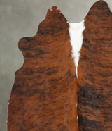 Medium Brindle Medium Brazilian Cowhide Rug 5'6"H x 5'6"W #B30030 by Hudson Hides