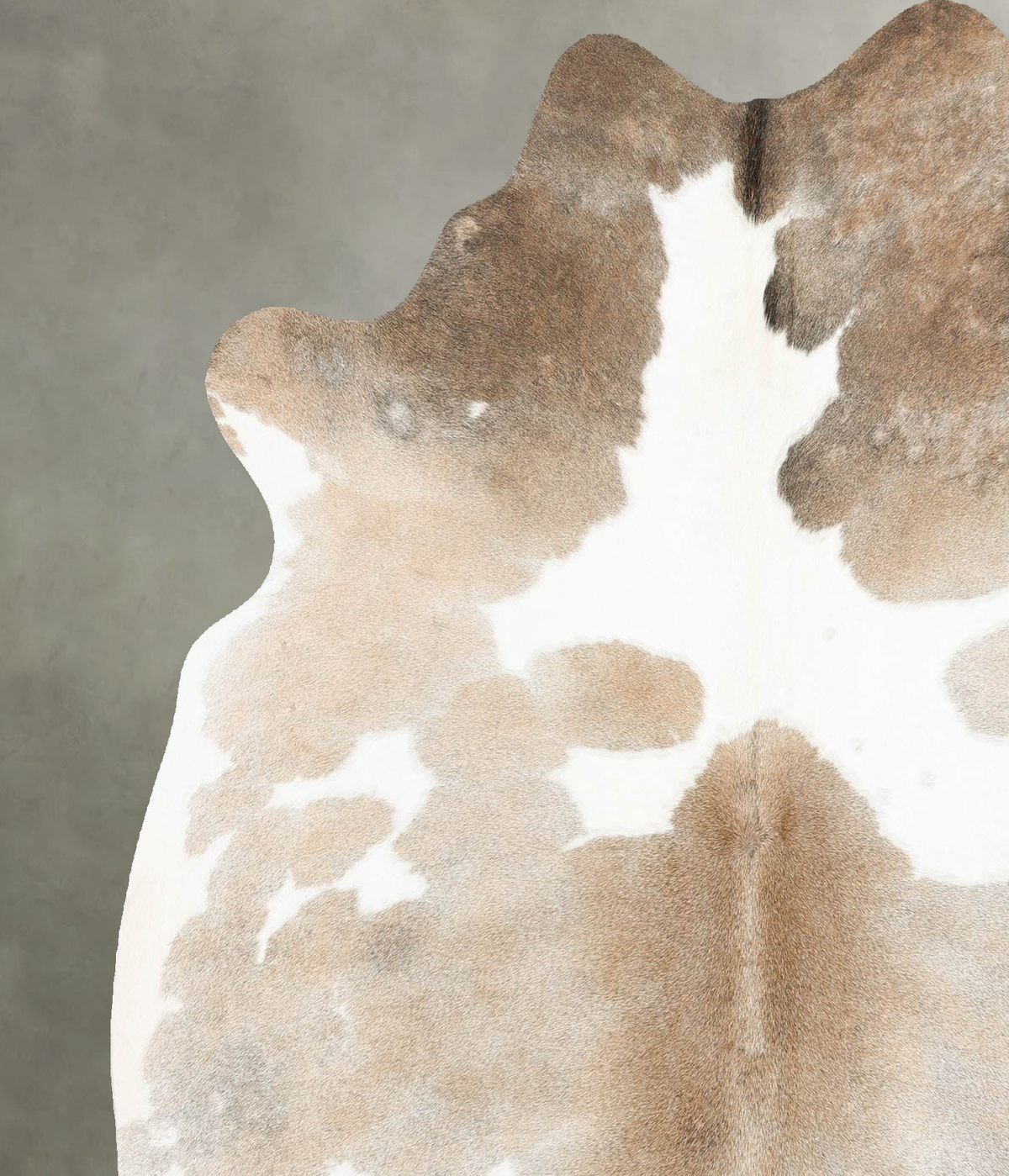 Grey with Beige Large Brazilian Cowhide Rug 6'5"H x 5'9"W #B30034 by Hudson Hides