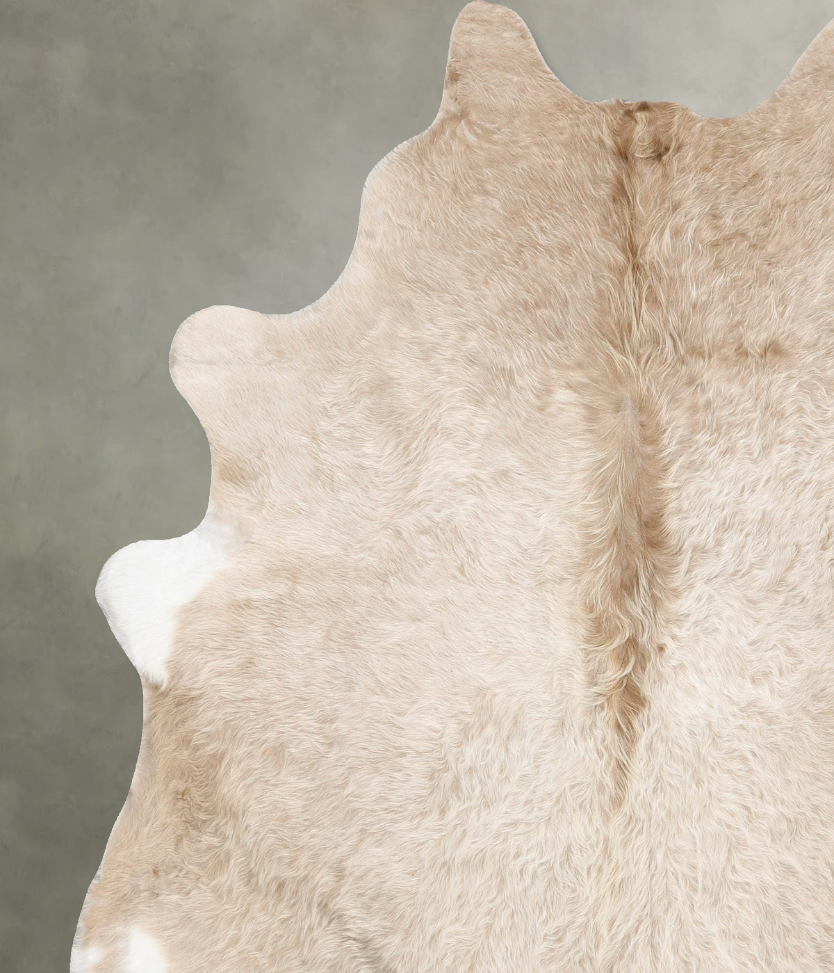 Champagne XX-Large Brazilian Cowhide Rug 7'8"H x 6'8"W #B30036 by Hudson Hides