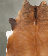 Medium Brindle XX-Large Brazilian Cowhide Rug 7'9"H x 6'8"W #B30040 by Hudson Hides