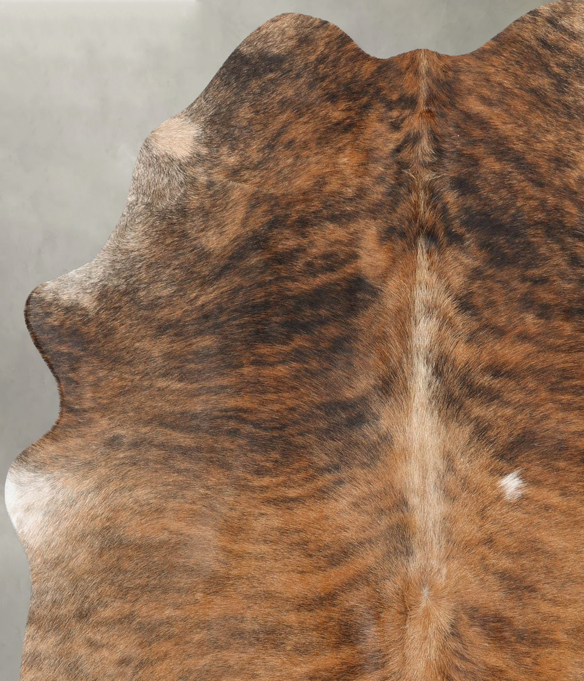 Medium Brindle Large Brazilian Cowhide Rug 6'2"H x 5'1"W #B30048 by Hudson Hides