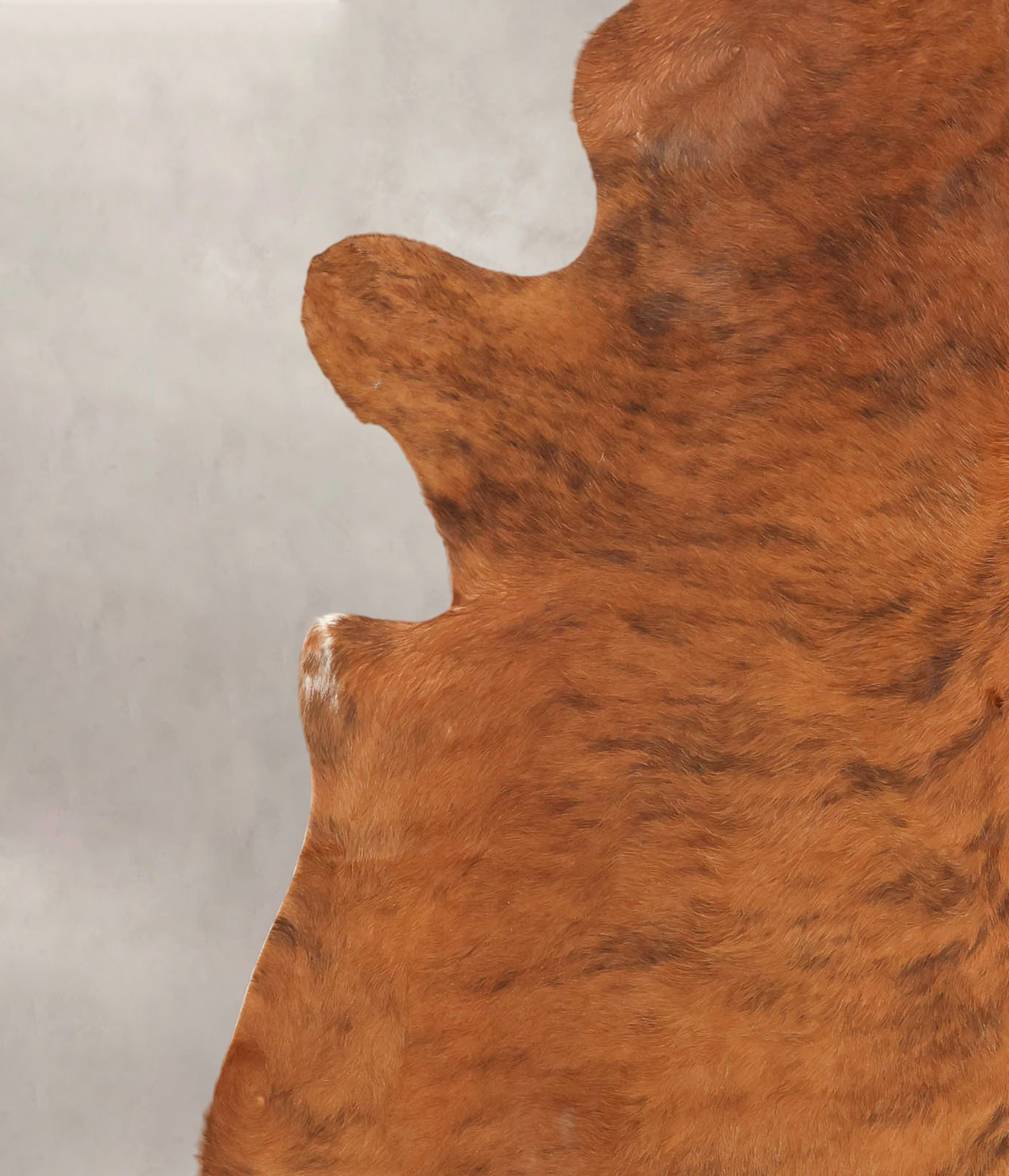Medium Brindle Cowhide Rug #B3005