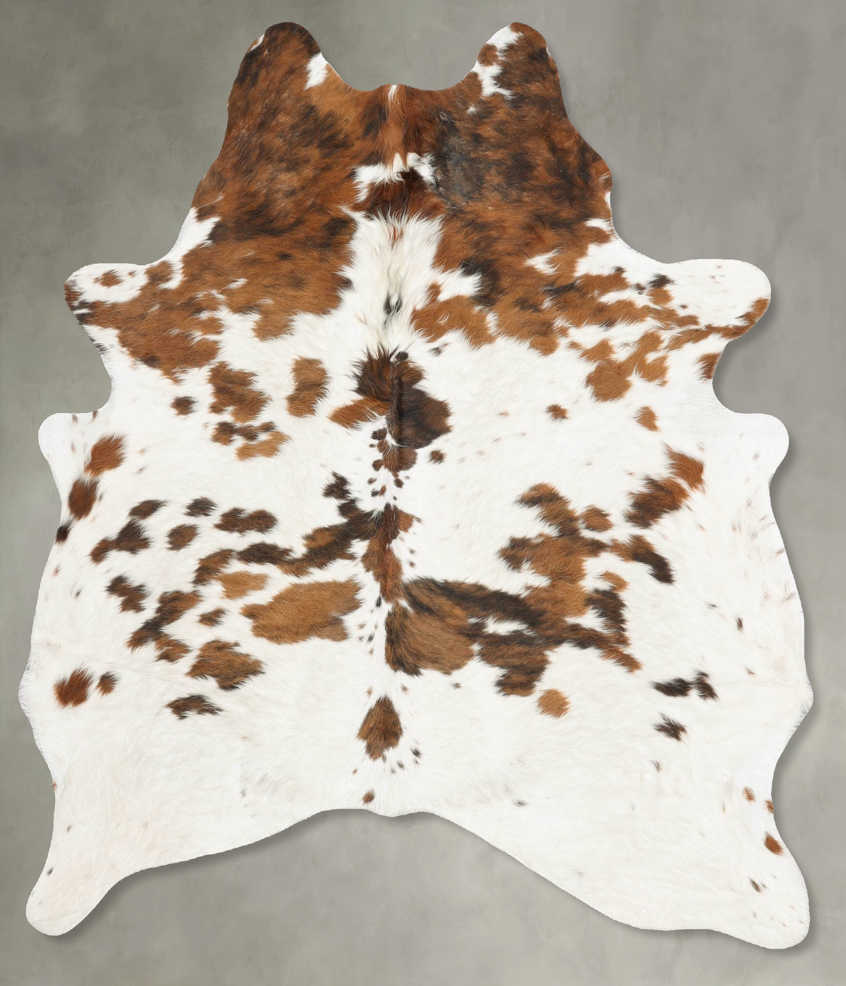 Tricolor Cowhide Rug #B30050