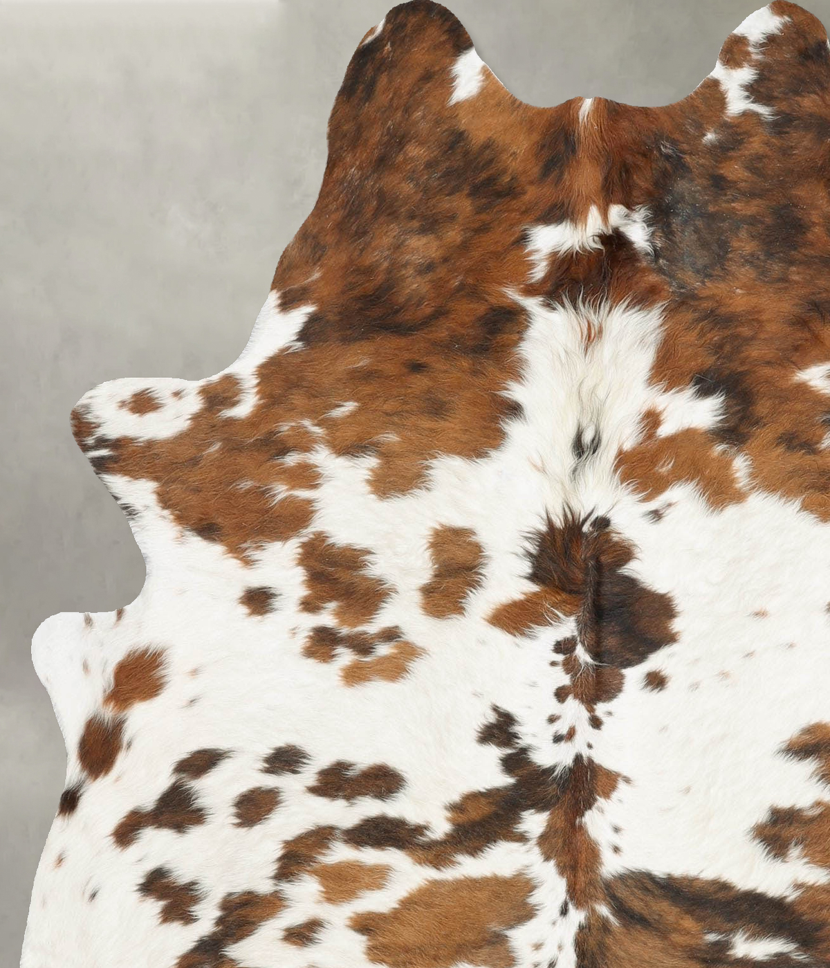 Tricolor Large Brazilian Cowhide Rug 6'6"H x 5'2"W #B30050 by Hudson Hides