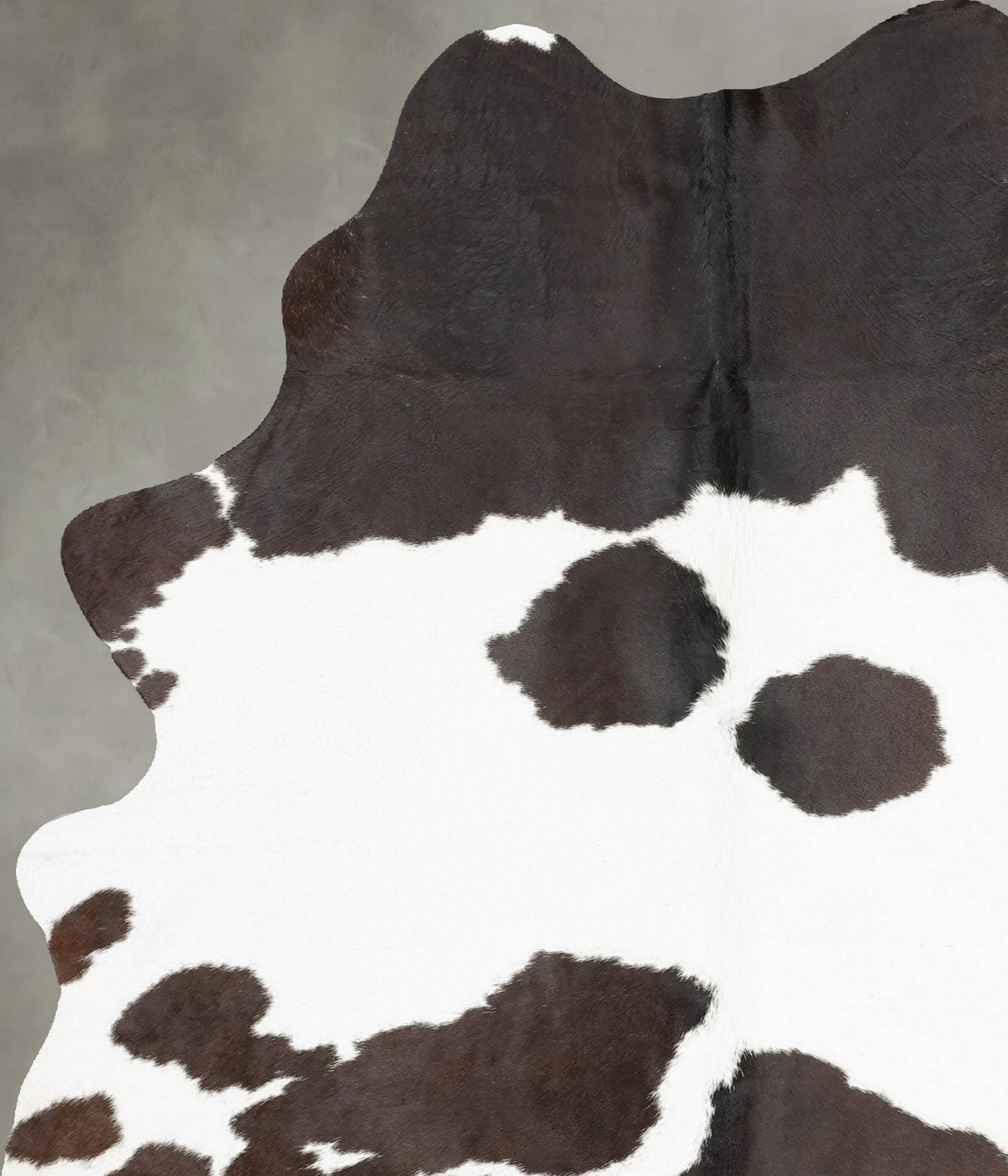 Chocolate and White Large Brazilian Cowhide Rug 7'5"H x 4'9"W #B30051 by Hudson Hides