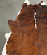 Medium Brindle XX-Large Brazilian Cowhide Rug 7'11"H x 6'9"W #B30054 by Hudson Hides
