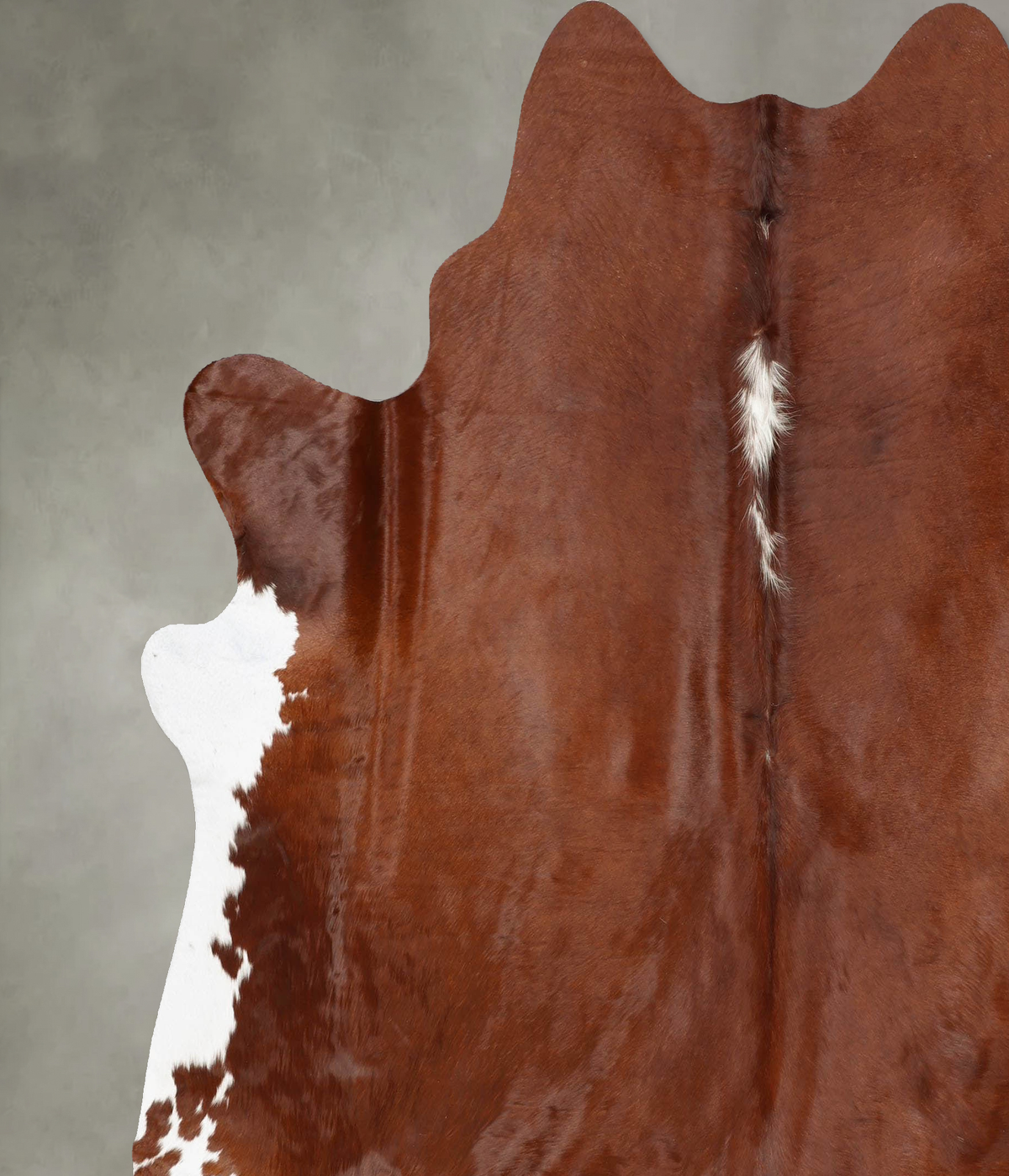 Brown and White Regular XX-Large Brazilian Cowhide Rug 7'9"H x 7'2"W #B30055 by Hudson Hides