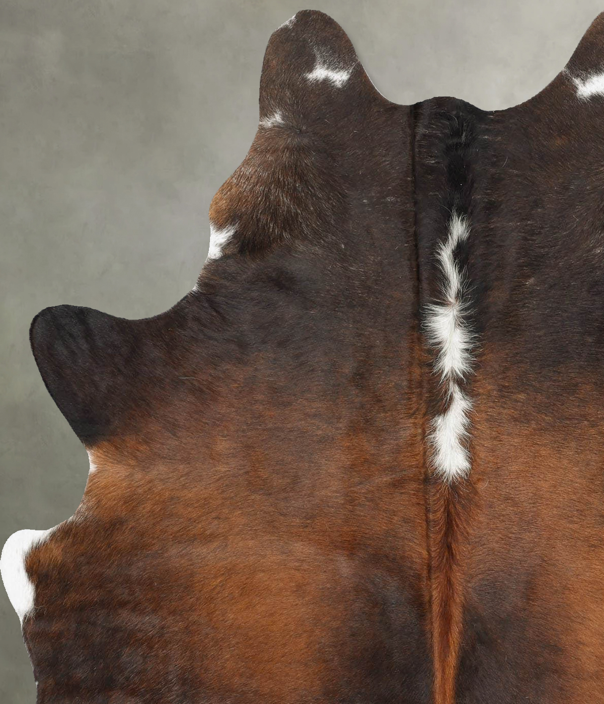 Chocolate and White Medium Brazilian Cowhide Rug 6'1"H x 4'8"W #B30064 by Hudson Hides
