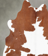 Brown and White Medium Brazilian Cowhide Rug 5'4"H x 5'4"W #B30066 by Hudson Hides