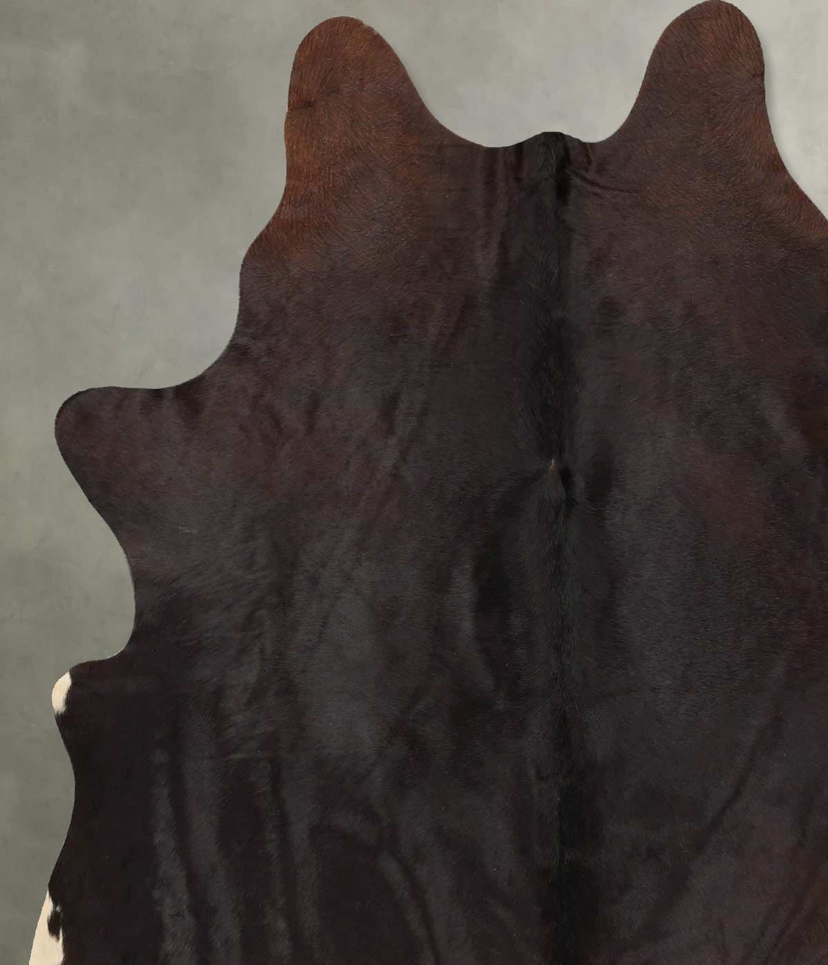 Chocolate and White X-Large Brazilian Cowhide Rug 7'2"H x 5'9"W #B30071 by Hudson Hides