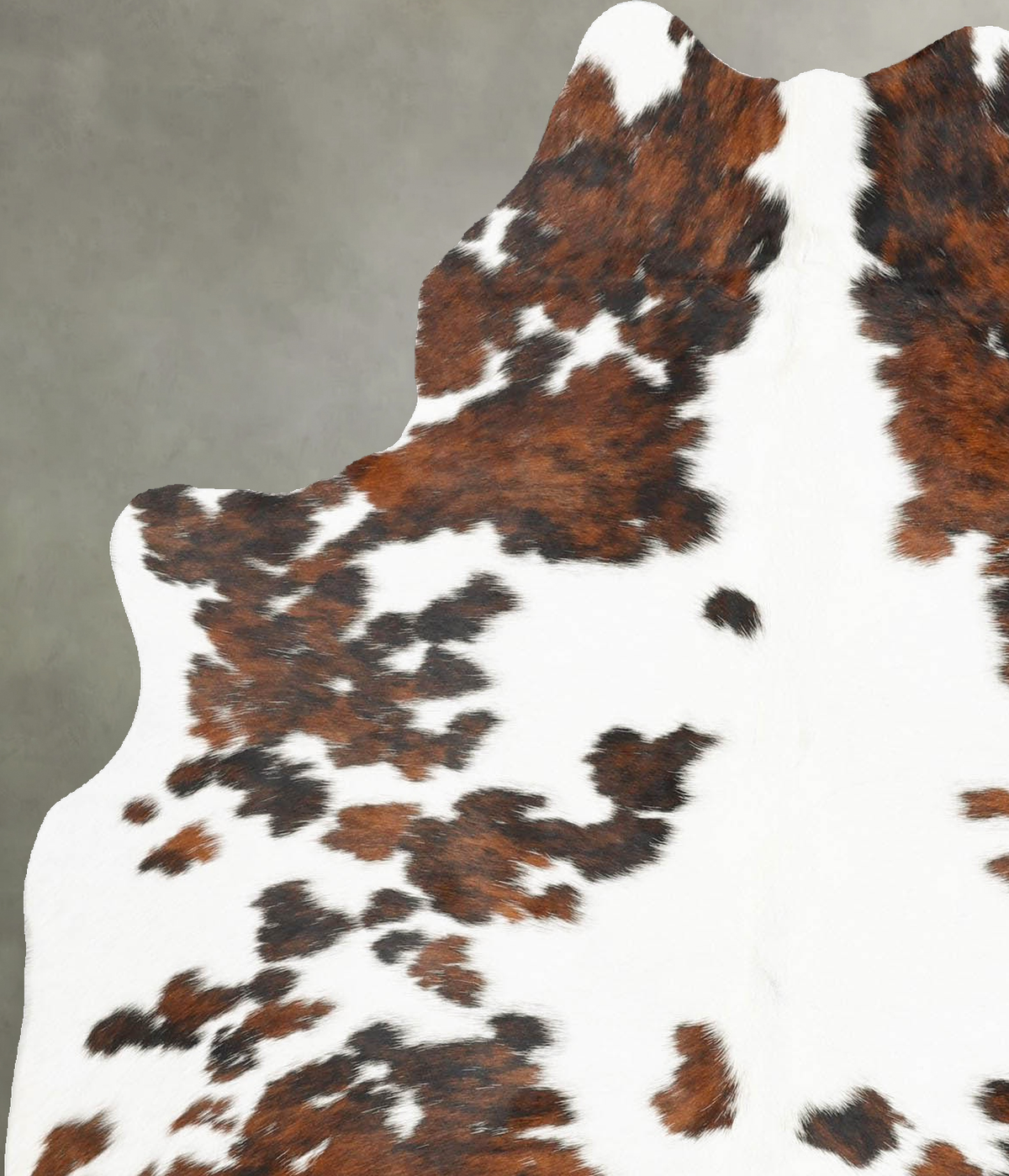 Tricolor Medium Brazilian Cowhide Rug 5'10"H x 4'7"W #B30077 by Hudson Hides