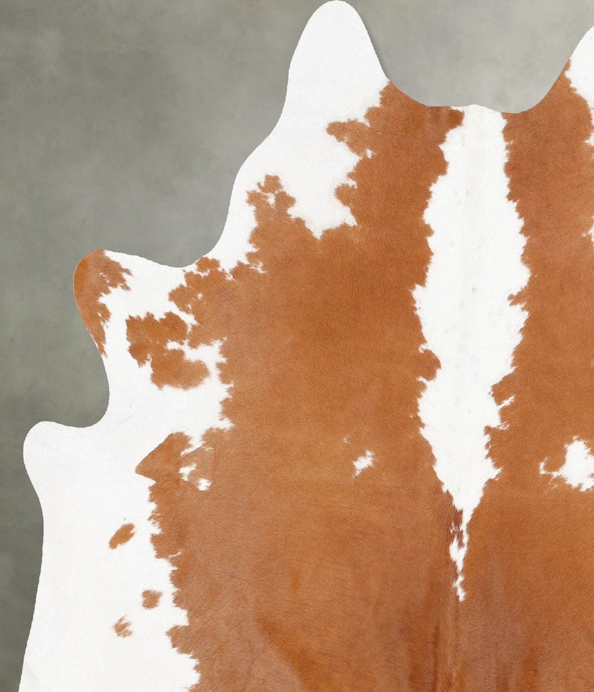 Brown and White Large Brazilian Cowhide Rug 6'7"H x 5'9"W #B30095 by Hudson Hides