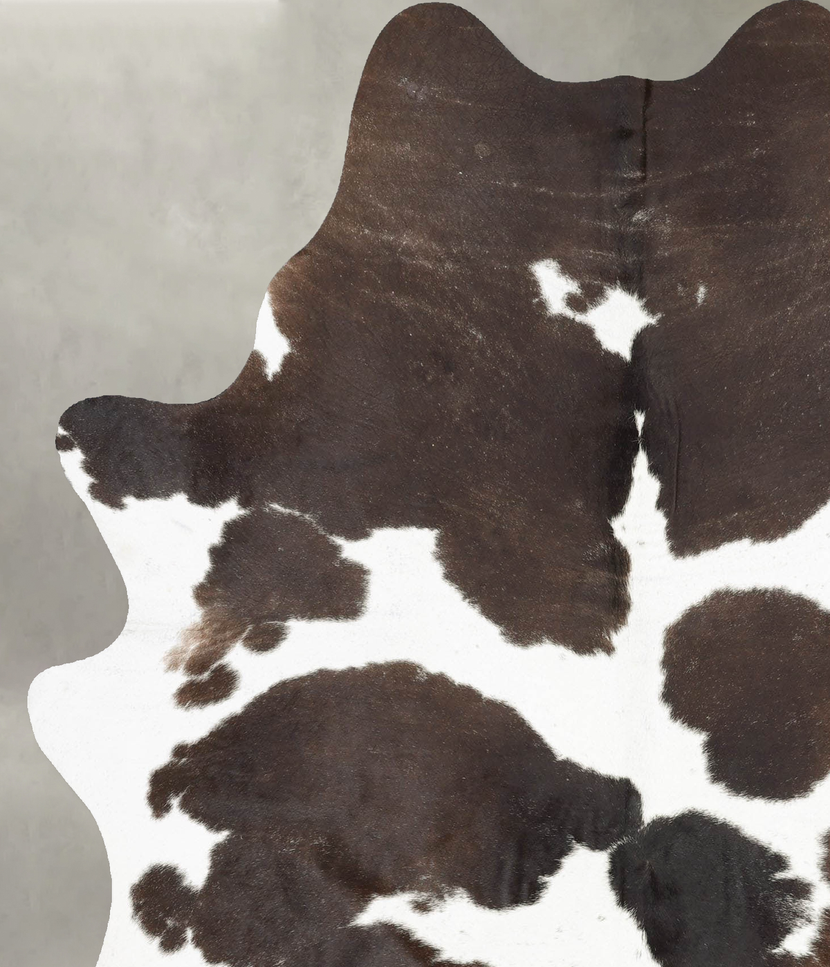 Chocolate and White X-Large Brazilian Cowhide Rug 7'5"H x 5'8"W #B30099 by Hudson Hides
