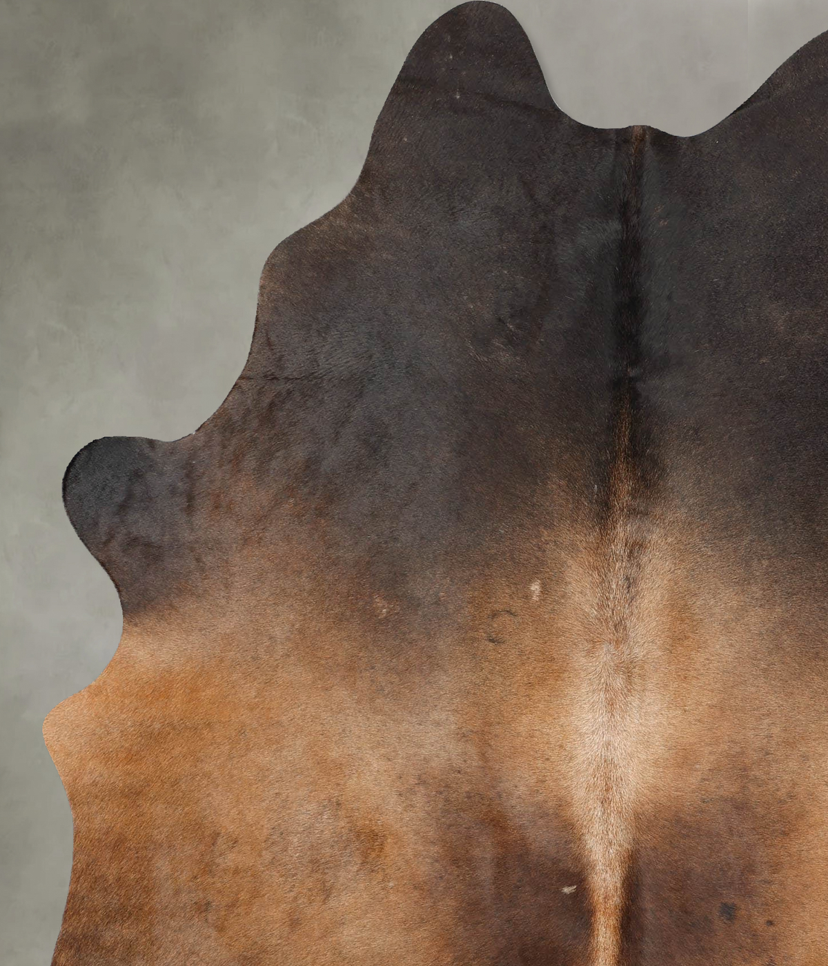 Chocolate X-Large Brazilian Cowhide Rug 7'5"H x 5'8"W #B30103 by Hudson Hides