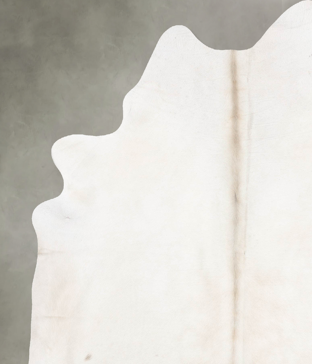 Champagne X-Large Brazilian Cowhide Rug 7'7"H x 6'1"W #B30108 by Hudson Hides