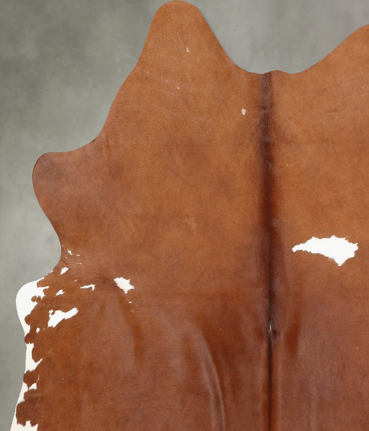 Brown and White Large Brazilian Cowhide Rug 6'1"H x 5'3"W #B30109 by Hudson Hides