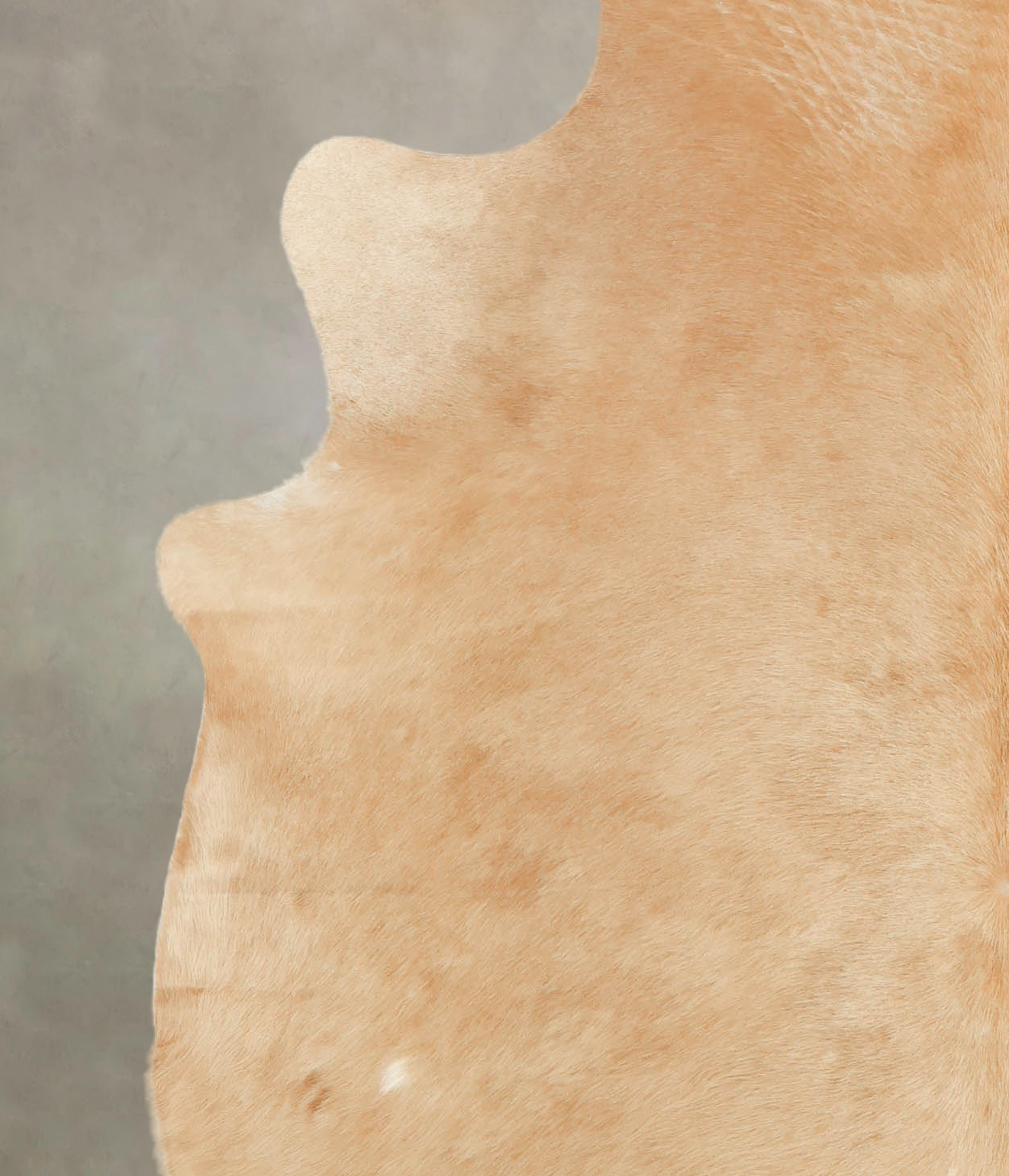 Beige Cowhide Rug #B3011