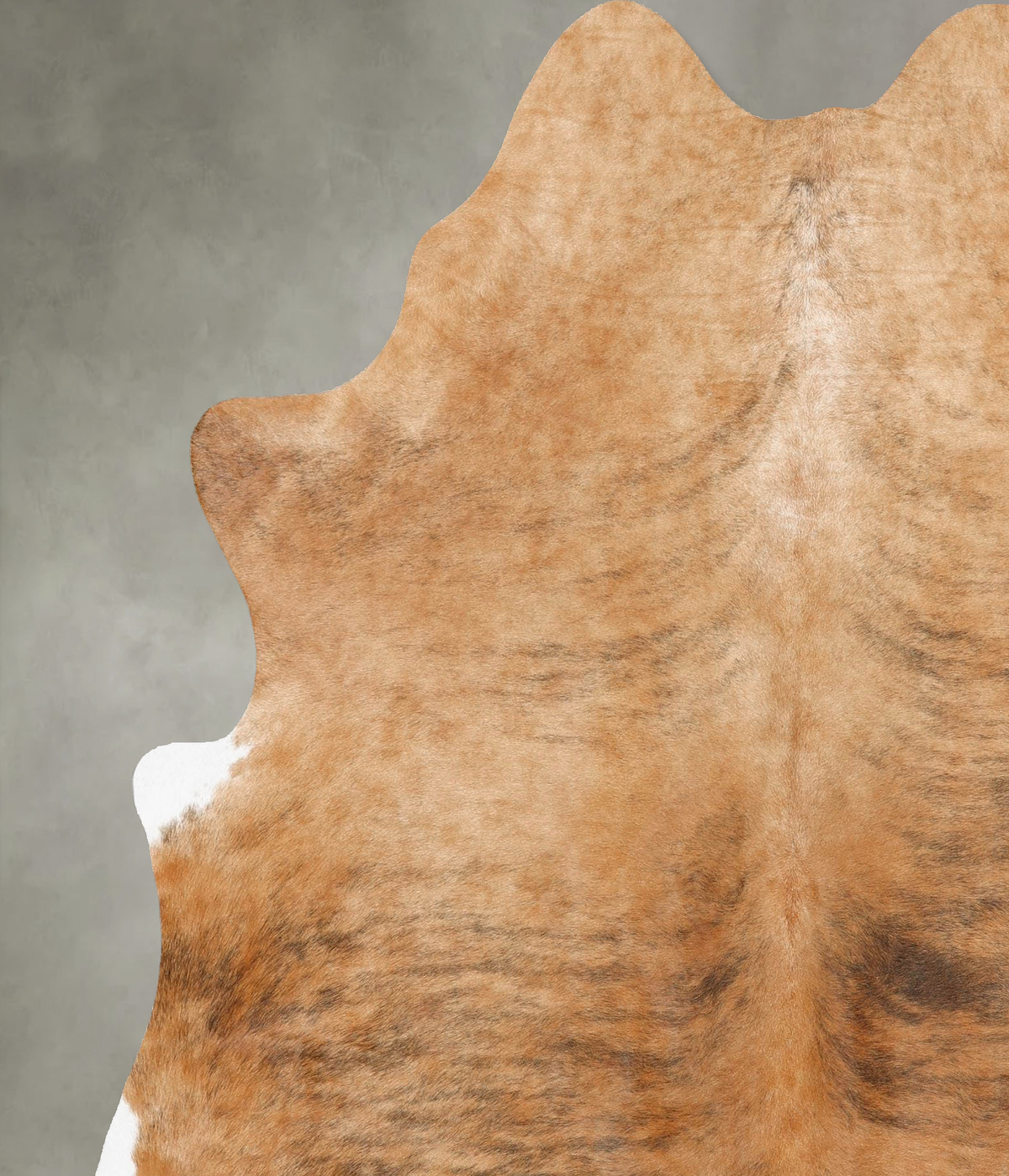 Medium Brindle X-Large Brazilian Cowhide Rug 7'4"H x 6'1"W #B30112 by Hudson Hides