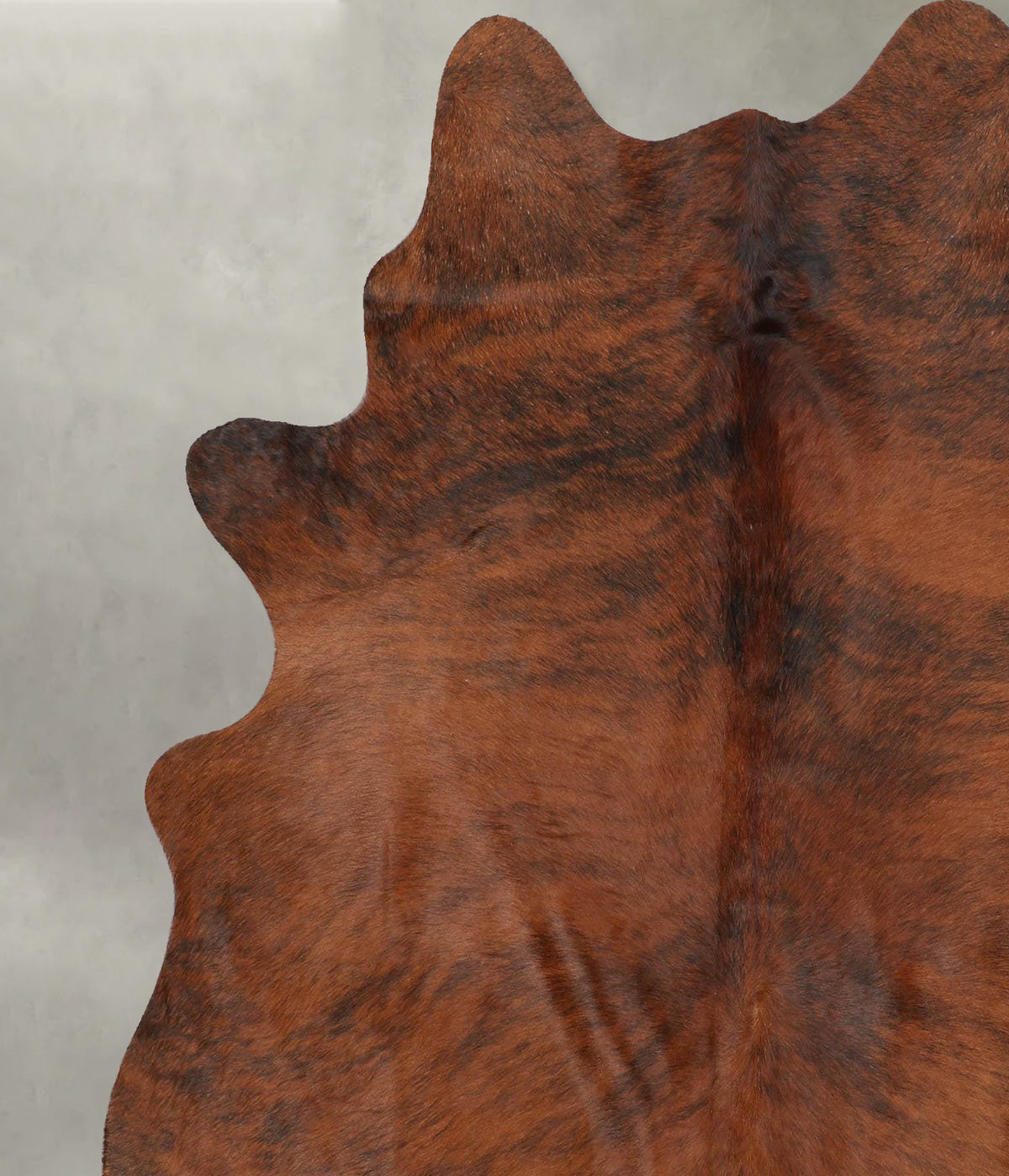 Medium Brindle Large Brazilian Cowhide Rug 6'7"H x 6'0"W #B30115 by Hudson Hides