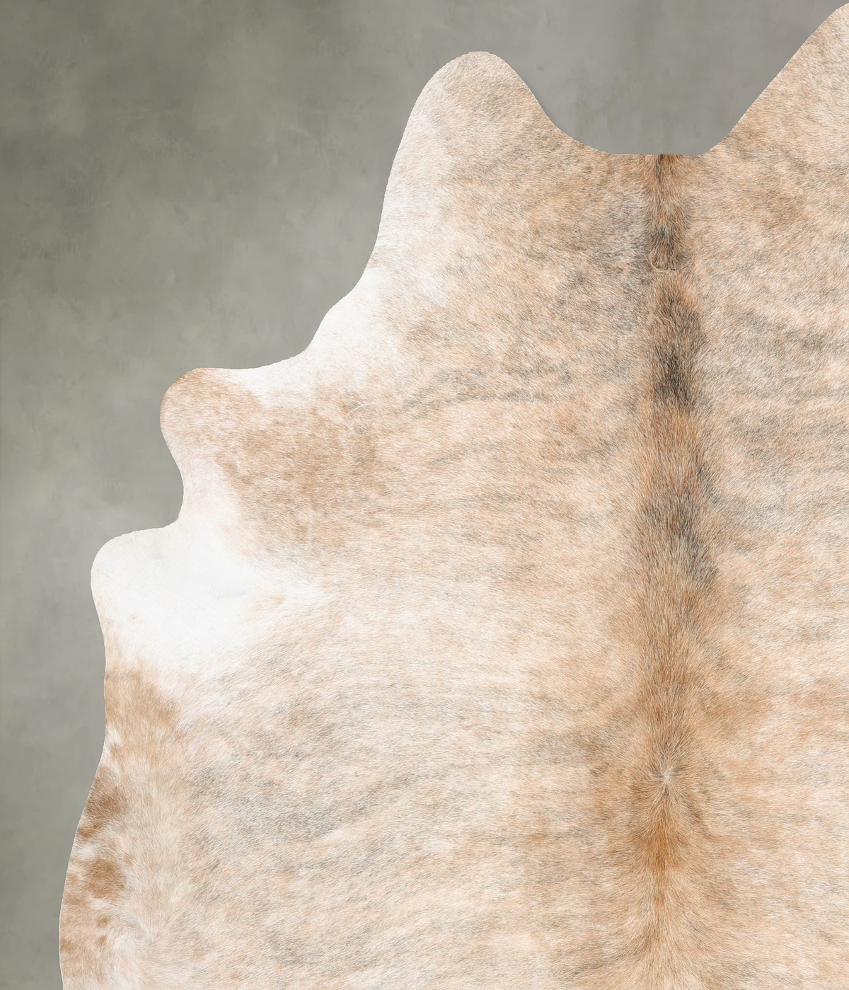 Light Brindle XX-Large Brazilian Cowhide Rug 8'1"H x 6'10"W #B30124 by Hudson Hides