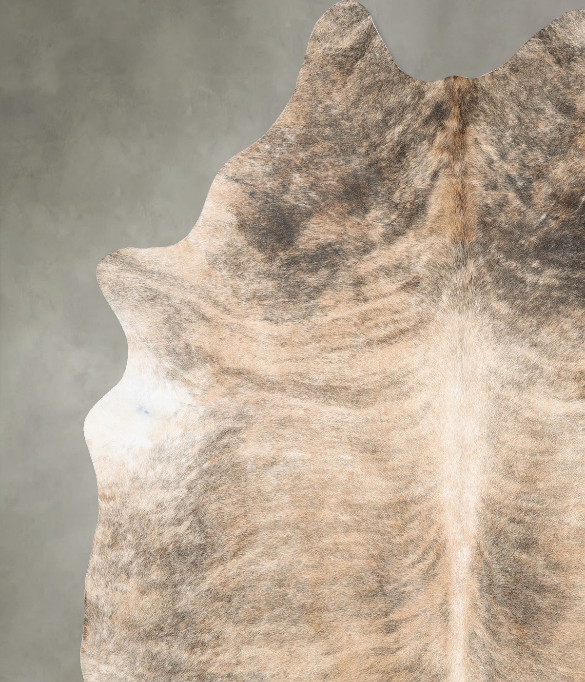 Light Brindle XX-Large Brazilian Cowhide Rug 8'3"H x 6'10"W #B30125 by Hudson Hides
