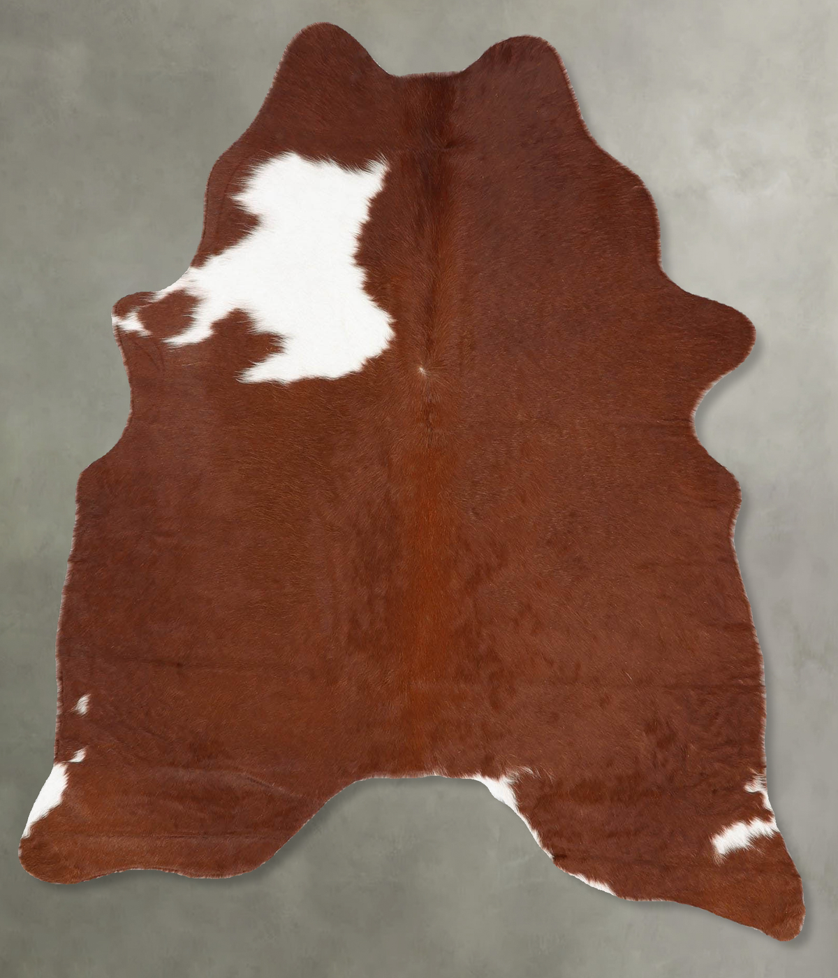 Brown and White Regular Cowhide Rug #B30143