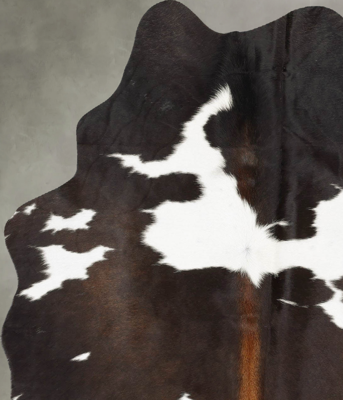 Chocolate and White Medium Brazilian Cowhide Rug 5'11"H x 4'3"W #B30150 by Hudson Hides