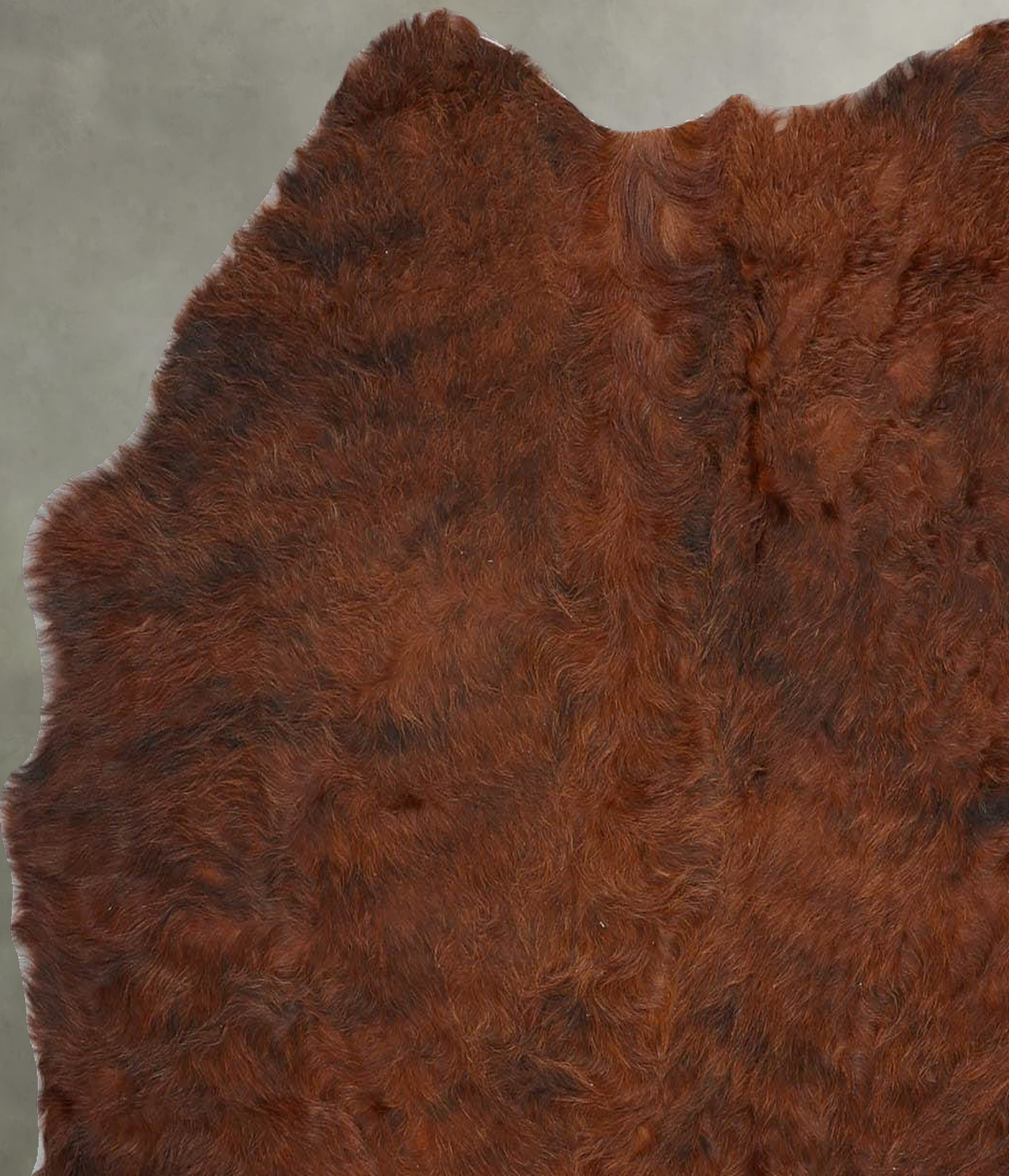 Dark Brindle Medium Brazilian Cowhide Rug 4'4"H x 4'1"W #B30157 by Hudson Hides