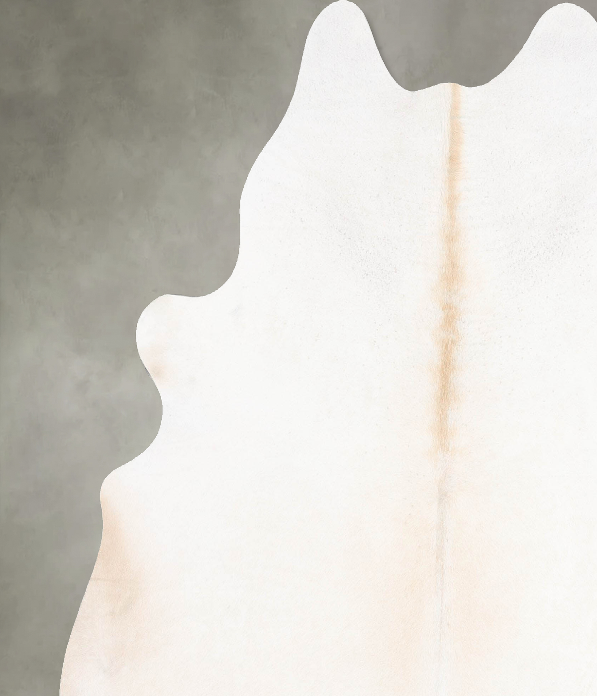 Ivory with Beige XX-Large Brazilian Cowhide Rug 7'9"H x 6'7"W #B30162 by Hudson Hides